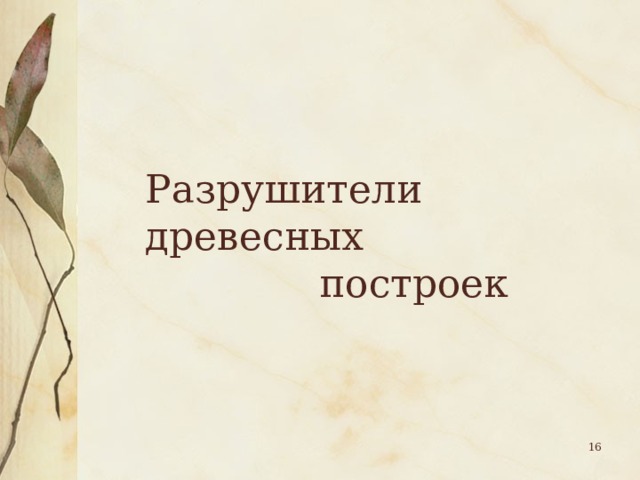 Разрушители древесных  построек  