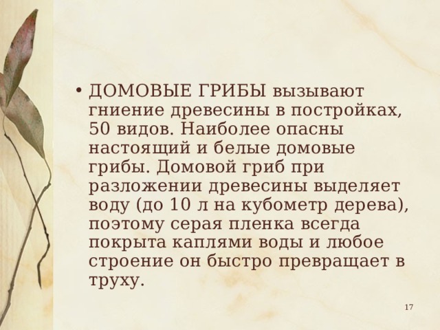 ДОМОВЫЕ ГРИБЫ вызывают гниение древесины в постройках, 50 видов. Наиболее опасны настоящий и белые домовые грибы. Домовой гриб при разложении древесины выделяет воду (до 10 л на кубометр дерева), поэтому серая пленка всегда покрыта каплями воды и любое строение он быстро превращает в труху.  