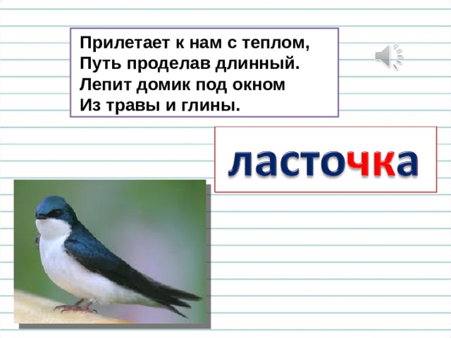  Прилетает к нам с теплом,  Путь проделав длинный.  Лепит домик под окном  Из травы и глины. 