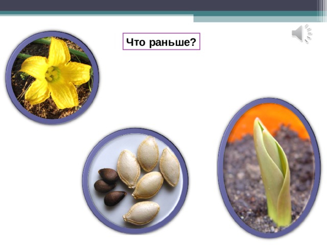 Что раньше? 
