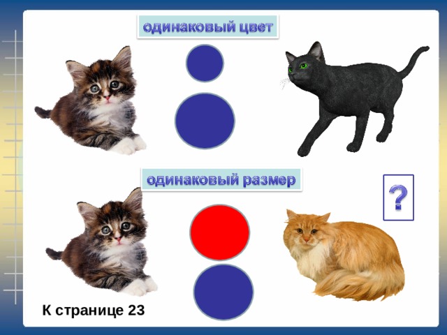 К странице 23 