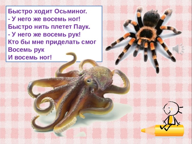 Быстро ходит Осьминог.  - У него же восемь ног!  Быстро нить плетет Паук.  - У него же восемь рук!  Кто бы мне приделать смог  Восемь рук  И восемь ног! 