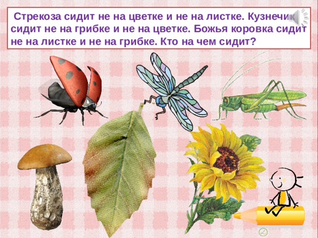  Стрекоза сидит не на цветке и не на листке. Кузнечик сидит не на грибке и не на цветке. Божья коровка сидит не на листке и не на грибке. Кто на чем сидит? 