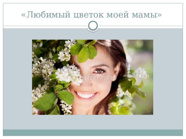 «Любимый цветок моей мамы» 