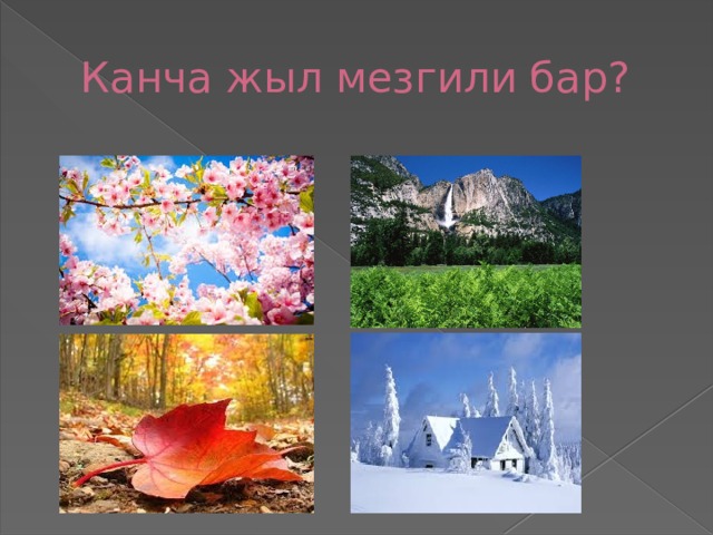     Канча жыл мезгили бар?      