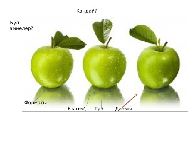 Кандай? Бул эмнелер? Формасы К ълъм\ Т\с\ Даамы 
