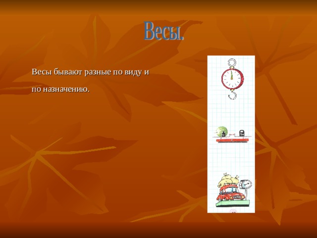 Весы бывают разные по виду и по назначению.  