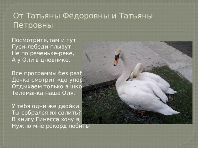 От Татьяны Фёдоровны и Татьяны Петровны Посмотрите,там и тут Гуси-лебеди плывут! Не по реченьке-реке, А у Оли в дневнике. Все программы без разбора Дочка смотрит «до упора», Отдыхаем только в школе- Телеманка наша Оля. У тебя одни же двойки. Ты собрался их солить?! В книгу Гинесса хочу я, Нужно мне рекорд побить! 