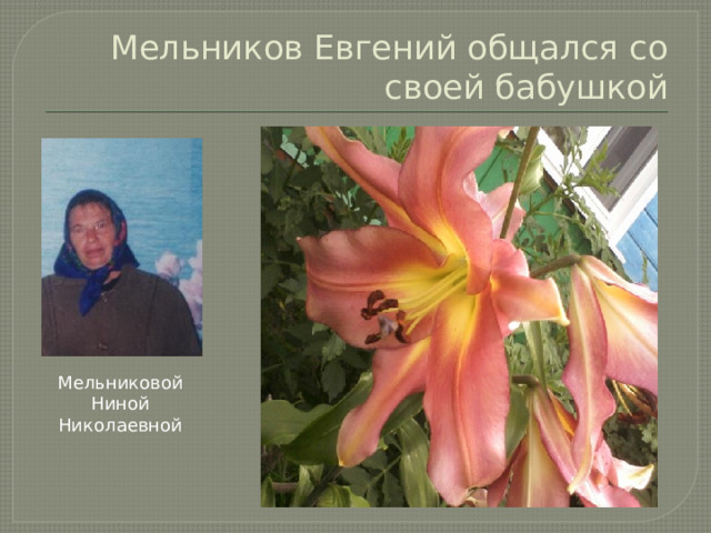 Мельников Евгений общался со своей бабушкой Мельниковой Ниной Николаевной 