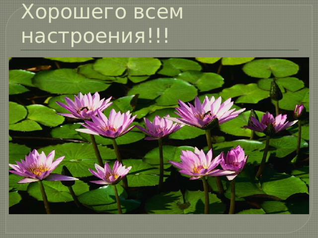 Хорошего всем настроения!!! 