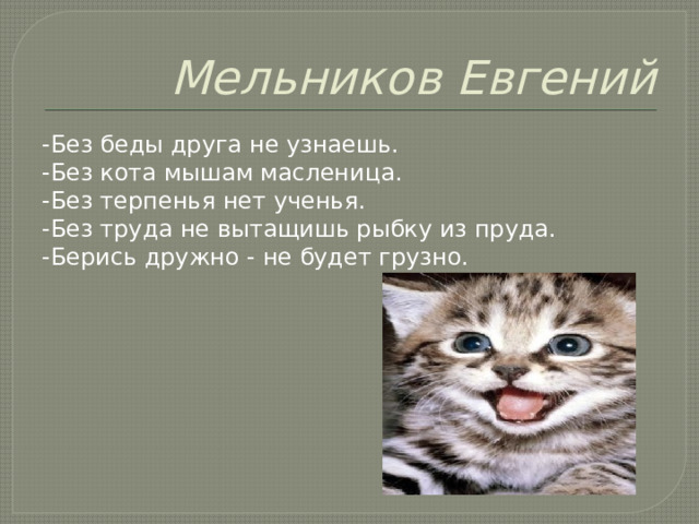 Мельников Евгений -Без беды друга не узнаешь. -Без кота мышам масленица. -Без терпенья нет ученья. -Без труда не вытащишь рыбку из пруда. -Берись дружно - не будет грузно. 