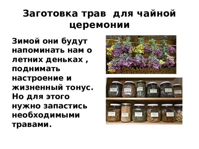 Заготовка трав для чайной церемонии Зимой они будут напоминать нам о летних деньках , поднимать настроение и жизненный тонус. Но для этого нужно запастись необходимыми травами. 