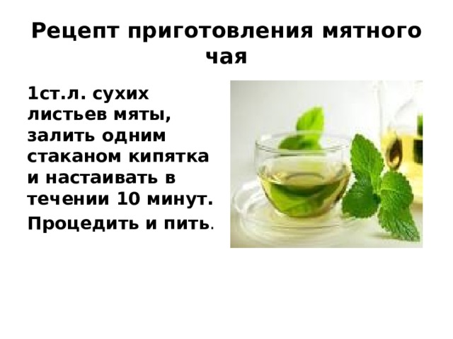 Рецепт приготовления мятного чая 1ст.л. сухих листьев мяты, залить одним стаканом кипятка и настаивать в течении 10 минут. Процедить и пить . 