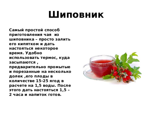 Шиповник Самый простой способ приготовления чая из шиповника – просто залить его кипятком и дать настояться некоторое время. Удобно использовать термос, куда засыпаются , предварительно промытые и порезанные на несколько долек ,его плоды в количестве 15-25 ягод в расчете на 1,5 воды. После этого дать настояться 1,5 – 2 часа и напиток готов. 