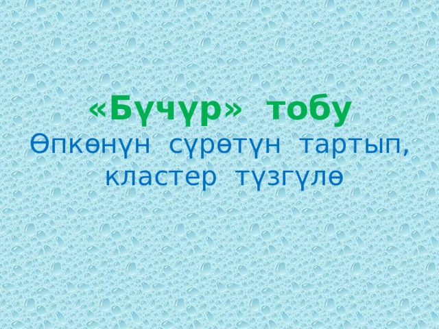«Бүчүр» тобу  Өпкөнүн сүрөтүн тартып, кластер түзгүлө 