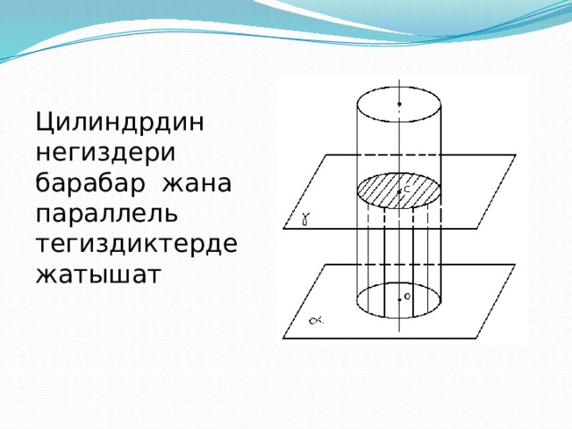 Цилиндрдин негиздери барабар жана параллель тегиздиктерде жатышат 