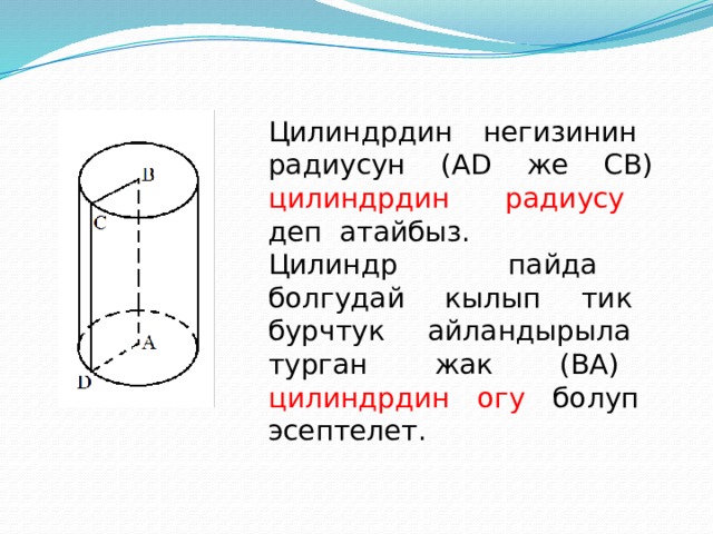Цилиндрдин негизинин радиусун (AD же CB) цилиндрдин радиусу деп атайбыз. Цилиндр пайда болгудай кылып тик бурчтук айландырыла турган жак (BA) цилиндрдин огу болуп эсептелет. 