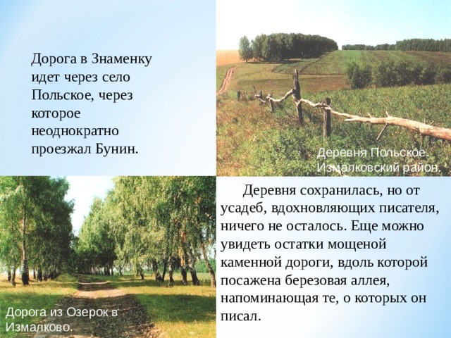 Дорога в Знаменку идет через село Польское, через которое неоднократно проезжал Бунин. Деревня Польское. Измалковский район.  Деревня сохранилась, но от усадеб, вдохновляющих писателя, ничего не осталось. Еще можно увидеть остатки мощеной каменной дороги, вдоль которой посажена березовая аллея, напоминающая те, о которых он писал. Дорога из Озерок в Измалково. 