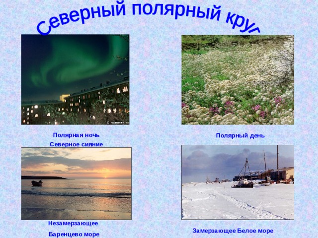 Полярная ночь Северное сияние Полярный день Незамерзающее Баренцево море Замерзающее Белое море 