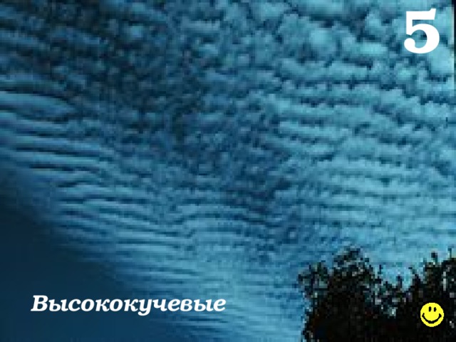 5 Высококучевые 