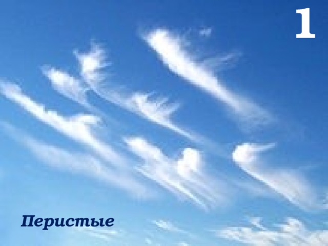 1 Перистые 
