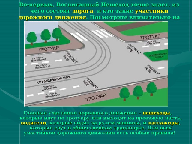 Во-первых, Воспитанный Пешеход точно знает, из чего состоит дорога , и кто такие участники дорожного движения . Посмотрите внимательно на рисунок и запомните! Главные участники дорожного движения – пешеходы , которые идут по тротуару или выходят на проезжую часть, водители , которые сидят за рулем машины, и пассажиры , которые едут в общественном транспорте. Для всех участников дорожного движения есть особые правила!  