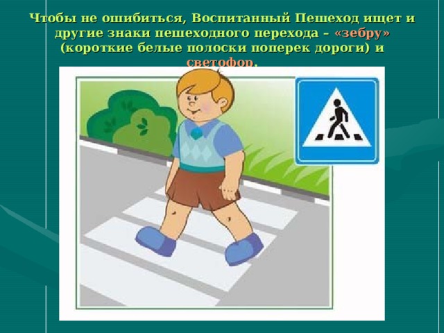 Чтобы не ошибиться, Воспитанный Пешеход ищет и другие знаки пешеходного перехода – «зебру» (короткие белые полоски поперек дороги) и светофор . 