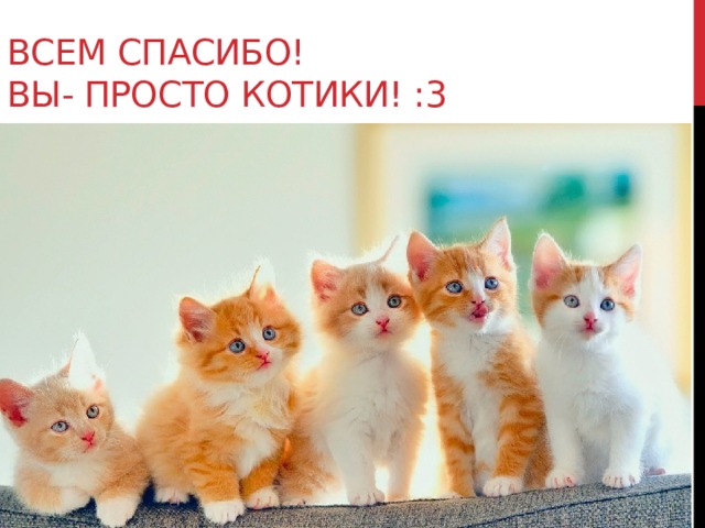 Всем спасибо!  Вы- просто котики! :3 