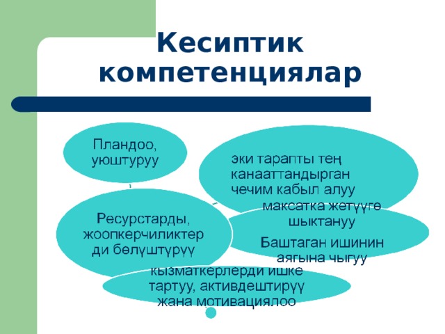Кесиптик компетенциялар 