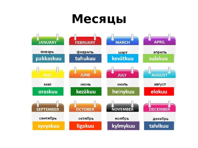 Месяцы 