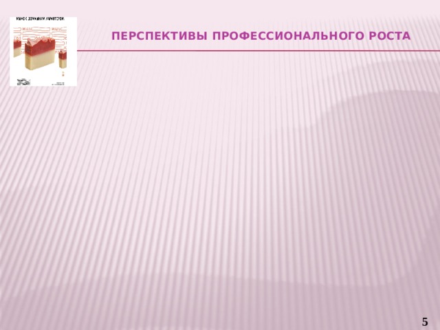 Перспективы профессионального роста   4 