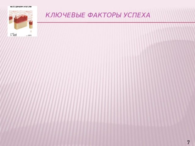 Ключевые факторы успеха   Развиваю предпринимательские навыки, участвую в развитии компетенции предпринимательства, являюсь тренером и экспертом 4 -участвую в тренингах организованных руководством компетенции и РКЦ Бизнес основан на реальной потребности и увлечении Поддержка членов семьи, делегирование части обязанностей. 