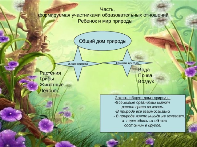  Часть, формируемая участниками образовательных отношений  Ребенок и мир природы Общий дом природы Живая природа Неживая природа Вода Почва Воздух Растения Грибы Животные Человек Законы общего дома природы: Все живые организмы имеют равное право на жизнь. В природе все взаимосвязано.  - В природе ничто никуда не исчезает,  а переходить из одного состояния в другое.  