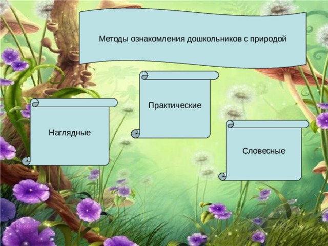 Методы ознакомления дошкольников с природой Практические Наглядные Словесные 