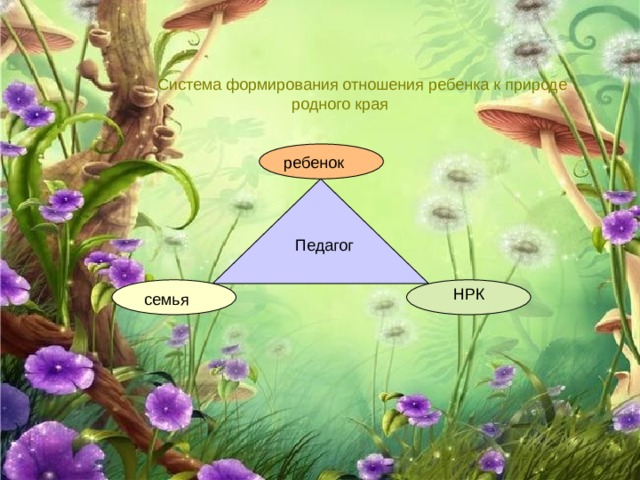  Система формирования отношения ребенка к природе  родного края ребенок  Педагог НРК  семья 