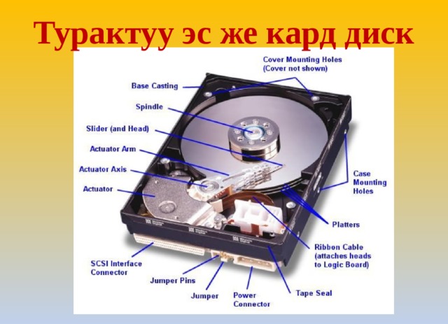 Турактуу эс же кард диск 