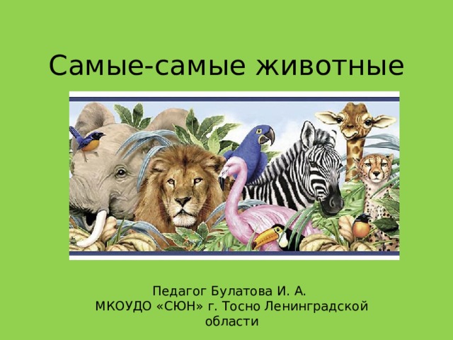 Самые-самые животные Педагог Булатова И. А. МКОУДО «СЮН» г. Тосно Ленинградской области 