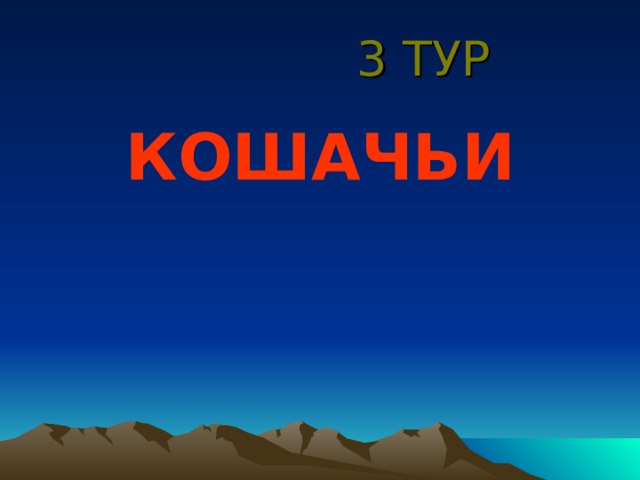  3 ТУР КОШАЧЬИ 