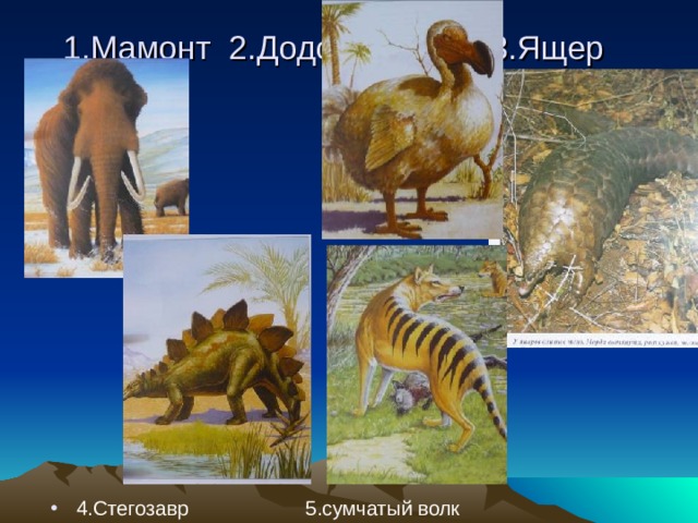 1.Мамонт 2.Додо 3.Ящер 4.Стегозавр 5.сумчатый волк 