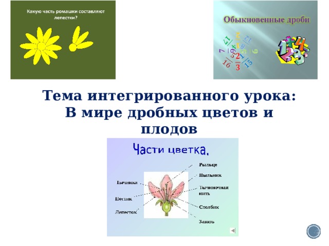 Тема интегрированного урока: В мире дробных цветов и плодов 