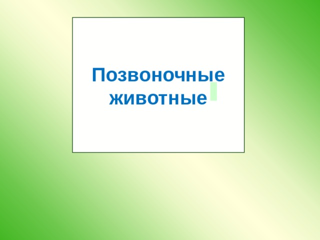 Позвоночные животные 