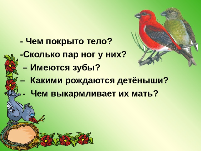 - Чем покрыто тело? -Сколько пар ног у них? – Имеются зубы? – Какими рождаются детёныши?  - Чем выкармливает их мать? 