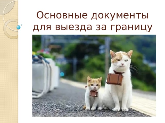 Основные документы для выезда за границу 