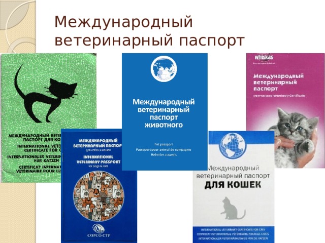 Международный ветеринарный паспорт 