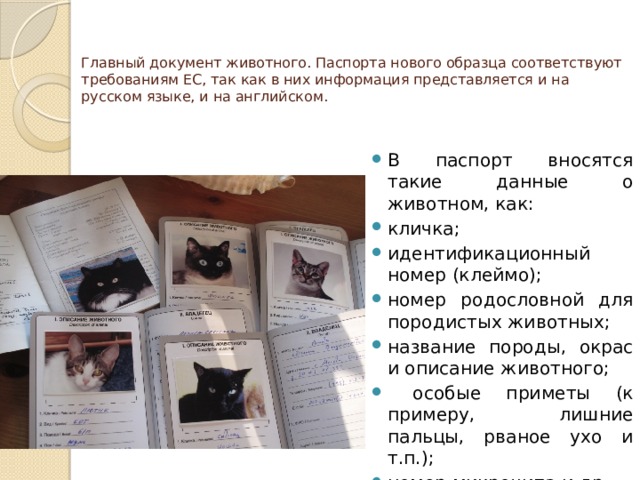 Главный документ животного. Паспорта нового образца соответствуют требованиям ЕС, так как в них информация представляется и на русском языке, и на английском.   В паспорт вносятся такие данные о животном, как: кличка; идентификационный номер (клеймо); номер родословной для породистых животных; название породы, окрас и описание животного;  особые приметы (к примеру, лишние пальцы, рваное ухо и т.п.); номер микрочипа и др. 