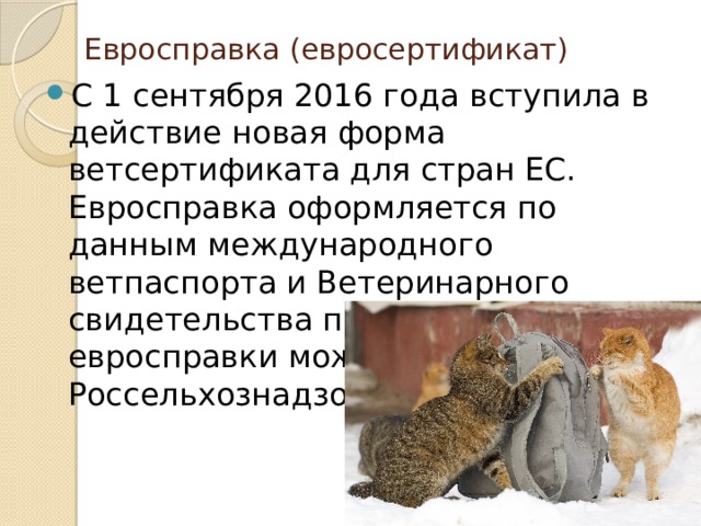 Евросправка (евросертификат)   С 1 сентября 2016 года вступила в действие новая форма ветсертификата для стран ЕС. Евросправка оформляется по данным международного ветпаспорта и Ветеринарного свидетельства по форме № 1. Бланк евросправки можно найти на сайте Россельхознадзора.   