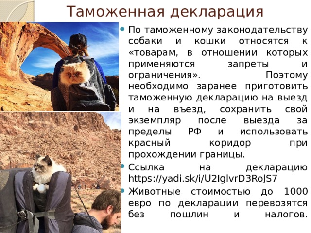 Таможенная декларация   По таможенному законодательству собаки и кошки относятся к «товарам, в отношении которых применяются запреты и ограничения». Поэтому необходимо заранее приготовить таможенную декларацию на выезд и на въезд, сохранить свой экземпляр после выезда за пределы РФ и использовать красный коридор при прохождении границы.  Ссылка на декларацию https://yadi.sk/i/U2IglvrD3RoJS7 Животные стоимостью до 1000 евро по декларации перевозятся без пошлин и налогов.   