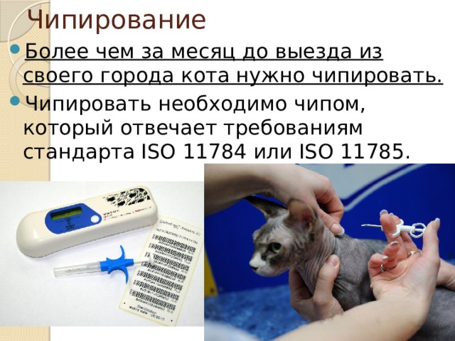 Чипирование Более чем за месяц до выезда из своего города кота нужно чипировать. Чипировать необходимо чипом, который отвечает требованиям стандарта ISO 11784 или ISO 11785.  