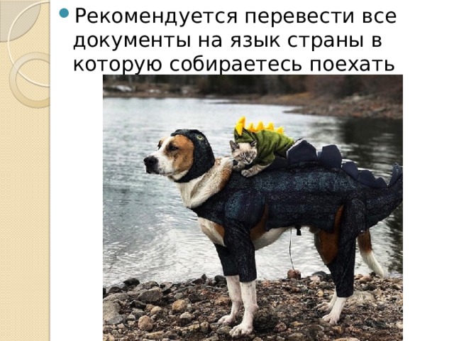 Рекомендуется перевести все документы на язык страны в которую собираетесь поехать 
