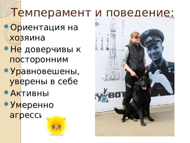 Темперамент и поведение: Ориентация на хозяина Не доверчивы к посторонним Уравновешены, уверены в себе Активны Умеренно агрессивны 
